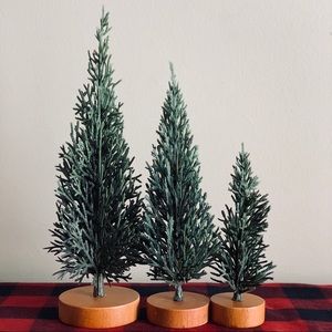 Hearth and Hand by Magnolia mini trees